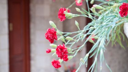 Ξενώνας Αμανίτες Δημητσάνα